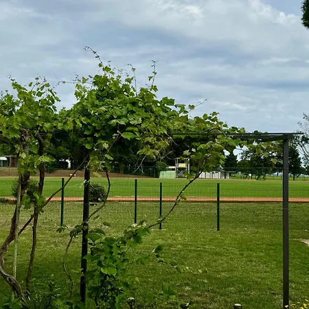 Apartment Enna A Meerblick Perfect Location Medulin